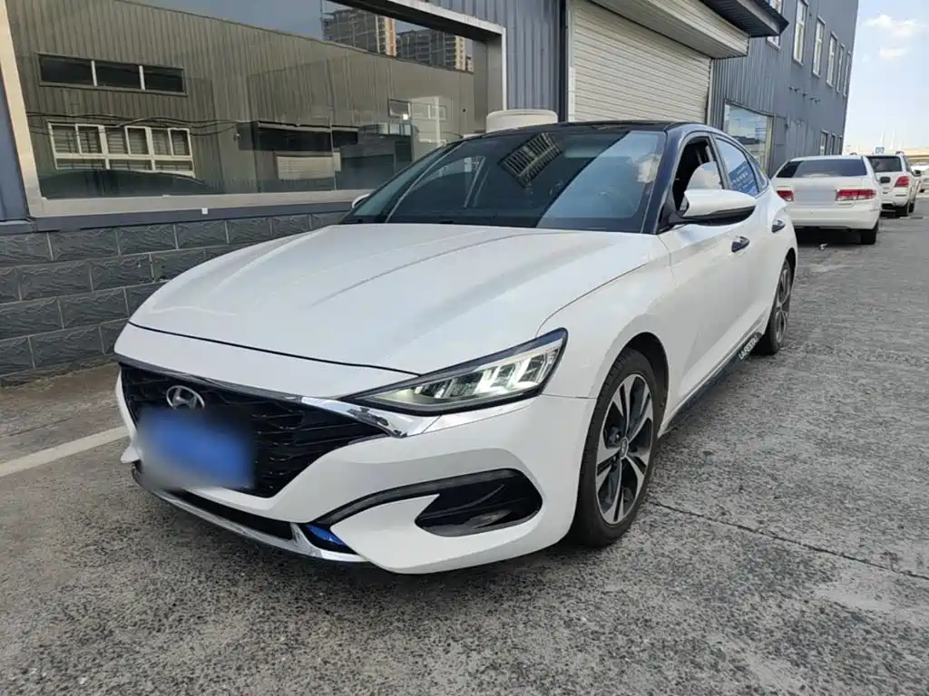 Hyundai Fista — миниатюра 2