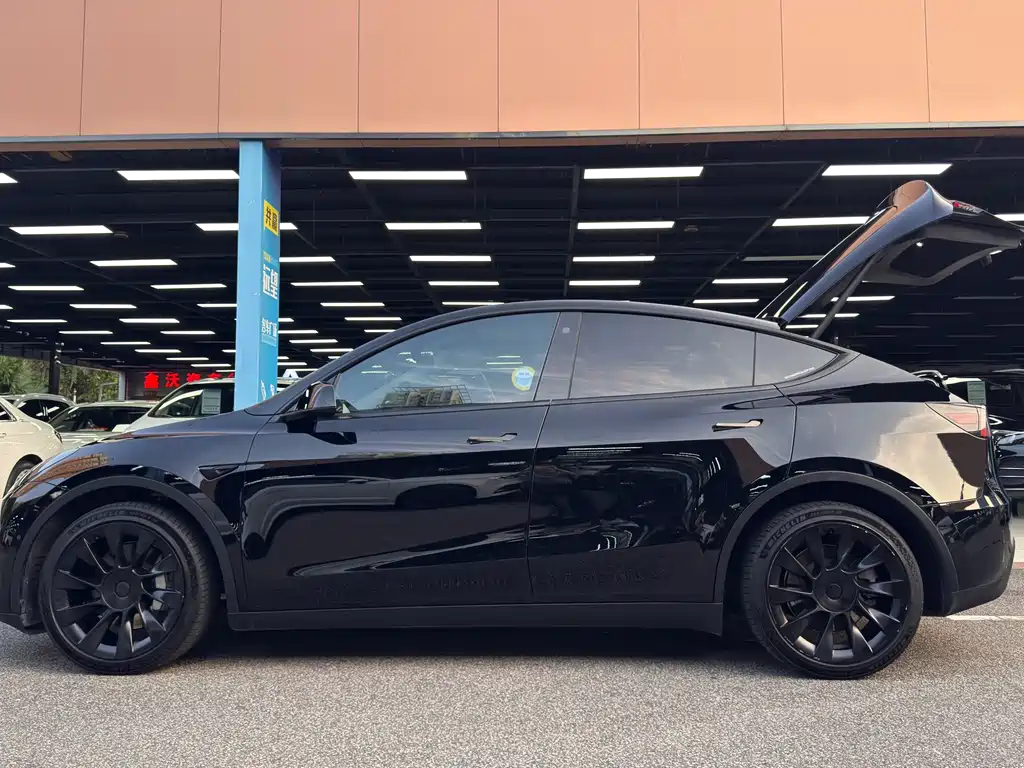 Tesla Model Y — миниатюра 4