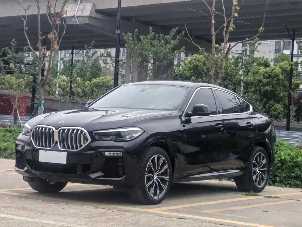 BMW X6 2021