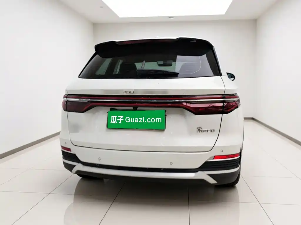 BYD Pro New Energy — миниатюра 3