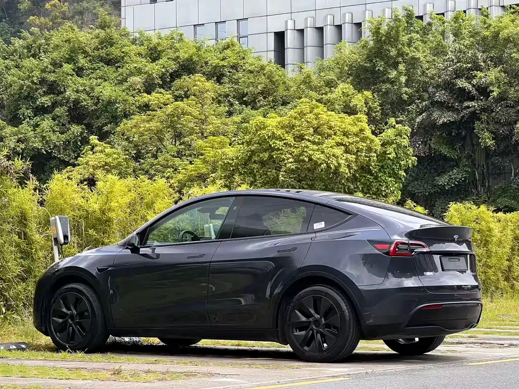 Tesla Model Y — миниатюра 5
