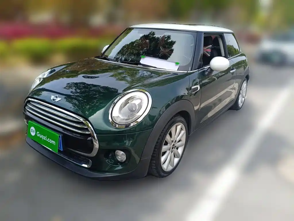 Mini Mini 2016
