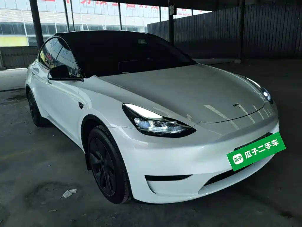 Tesla Model Y — миниатюра 4