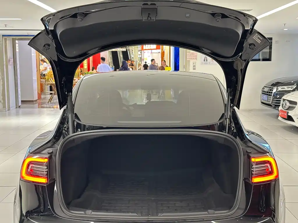 Tesla Model 3 — миниатюра 8