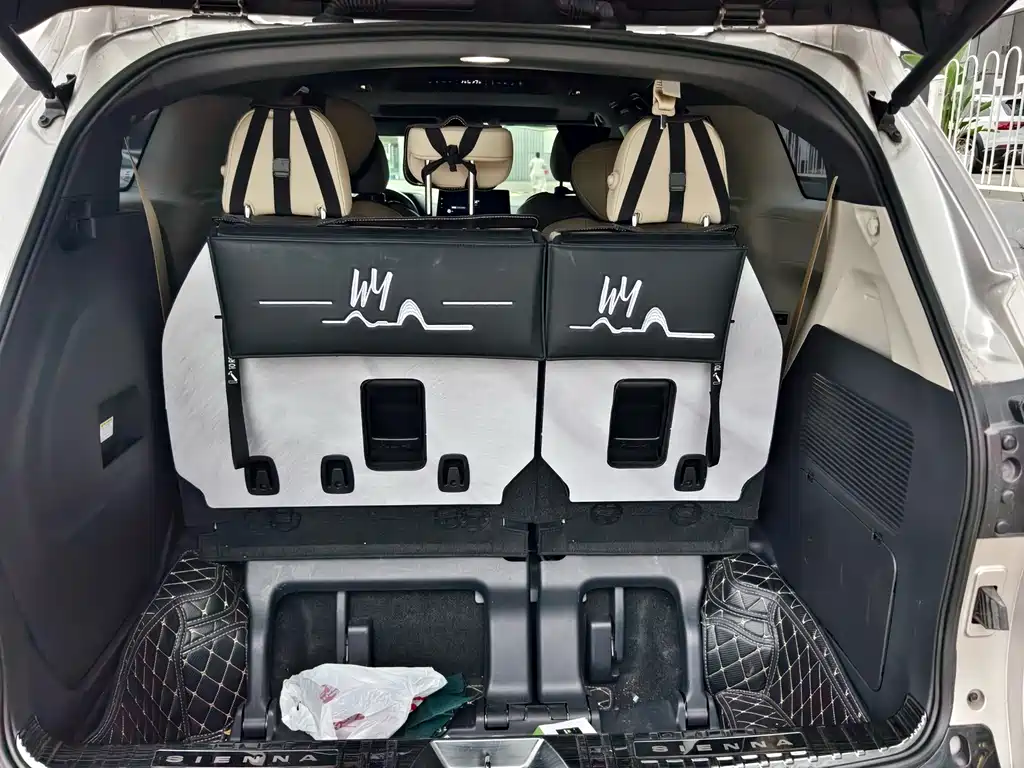 Toyota Sienna — миниатюра 21