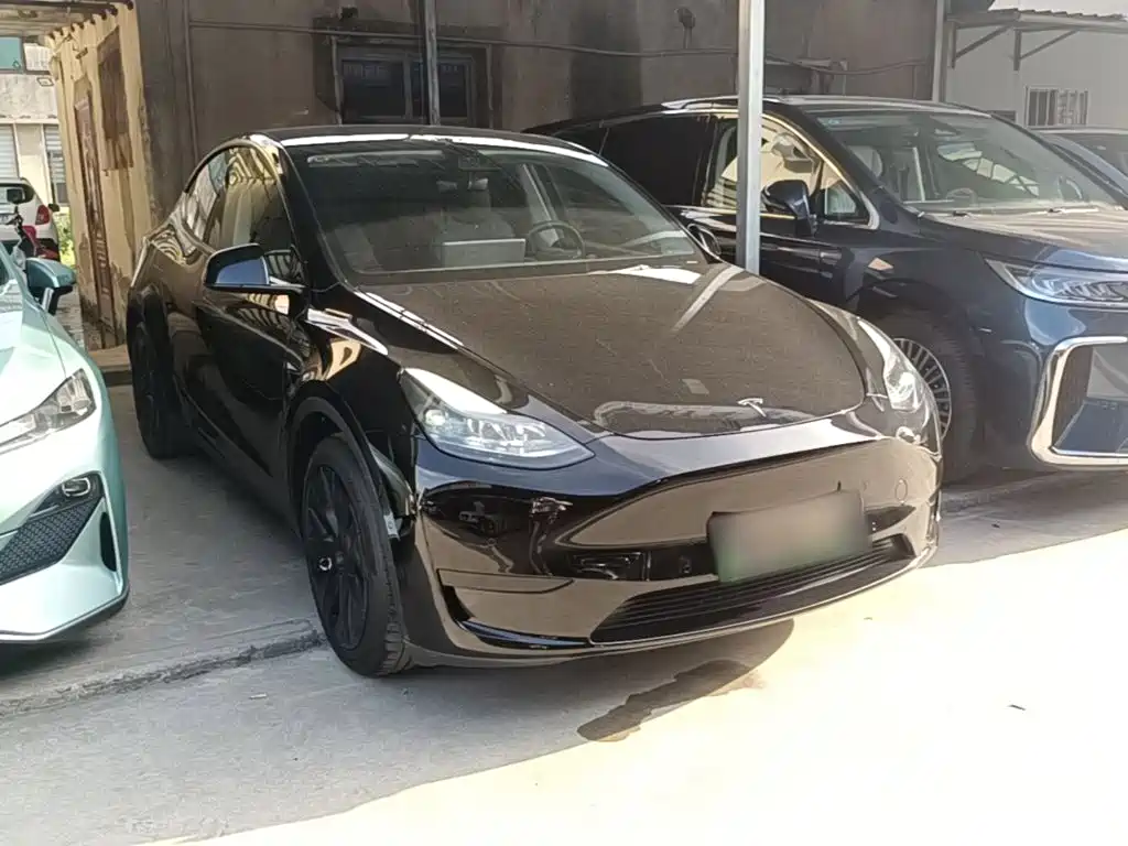 Tesla Model Y — миниатюра 4