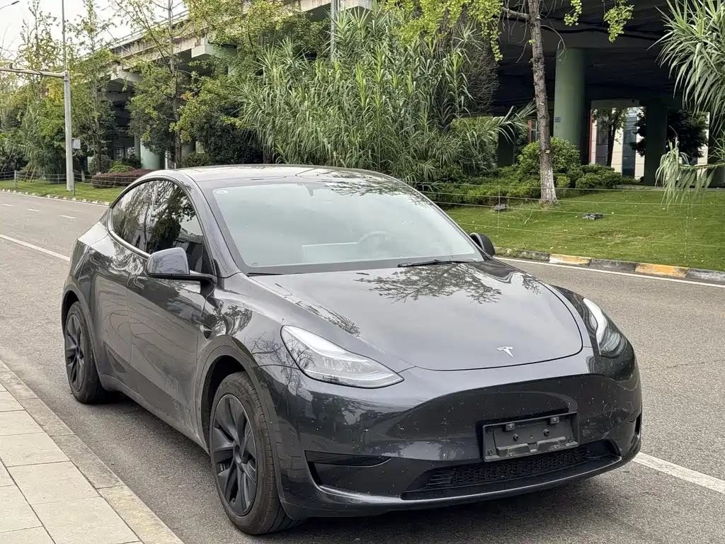 Tesla Model Y — миниатюра 3