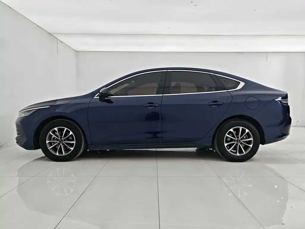 BYD Destroyer 05 2024 DM-i 55KM Luxury