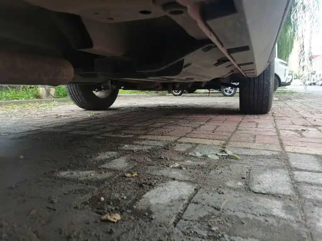 Haval Big Dog — миниатюра 18