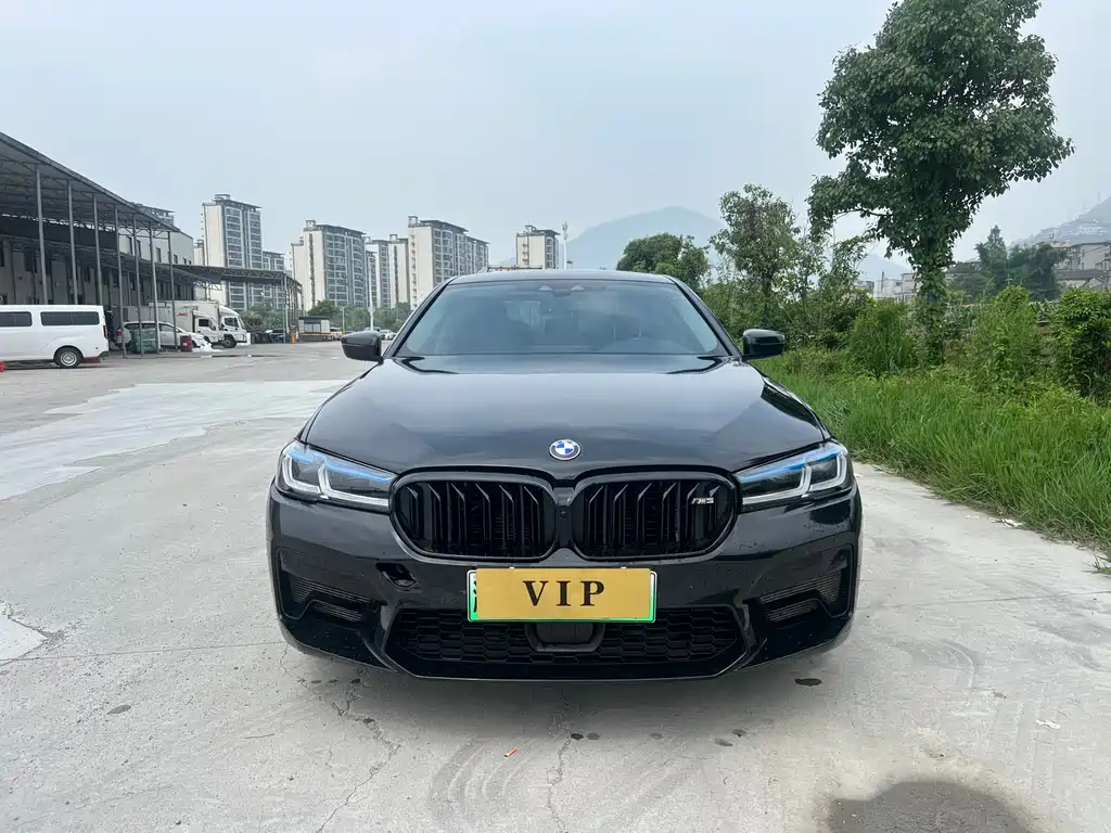 BMW 5 Series New Energy 530Le Luxury Package, фото 2