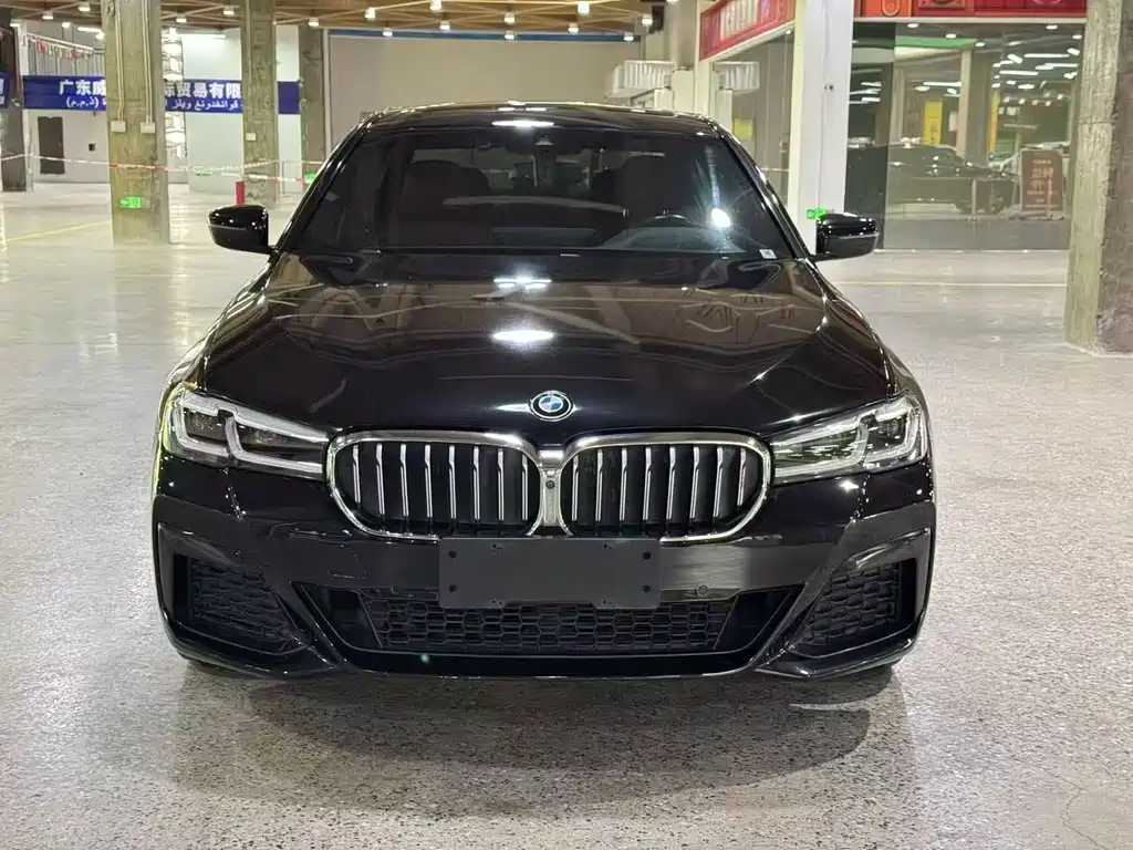 BMW 5 Series — миниатюра 2