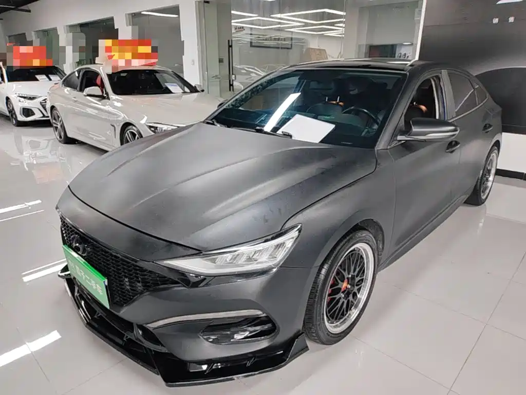 Hyundai Fista — миниатюра 2