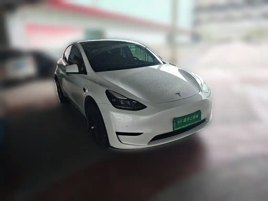 Tesla Model Y — миниатюра 3