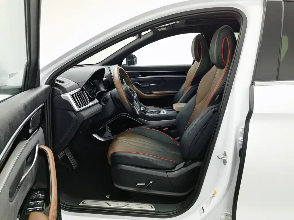 BYD PLUS — миниатюра 10