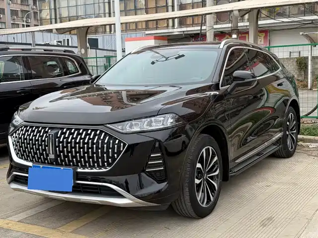 WEI PAI WEI BRAND MOCHA