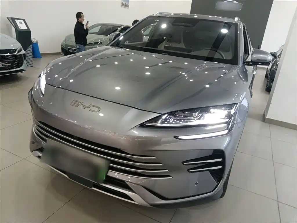 BYD PLUS New Energy 2025