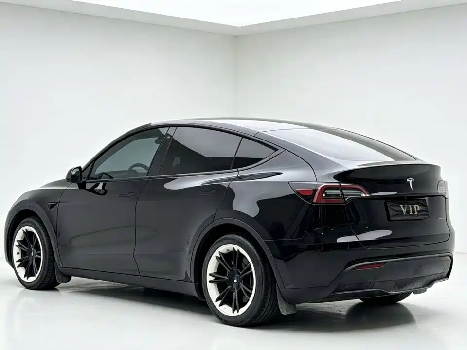 Tesla Model Y — миниатюра 9