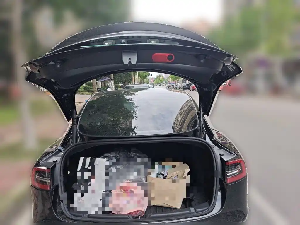 Tesla Model 3 — миниатюра 10