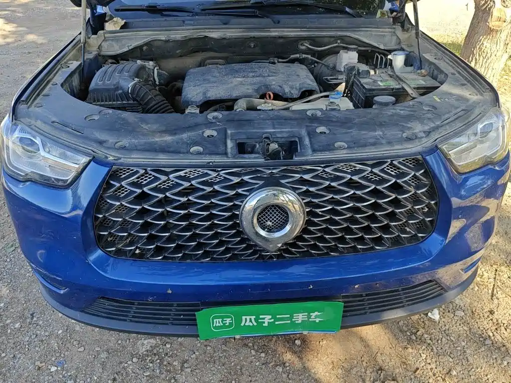 Great Wall Pao — миниатюра 11