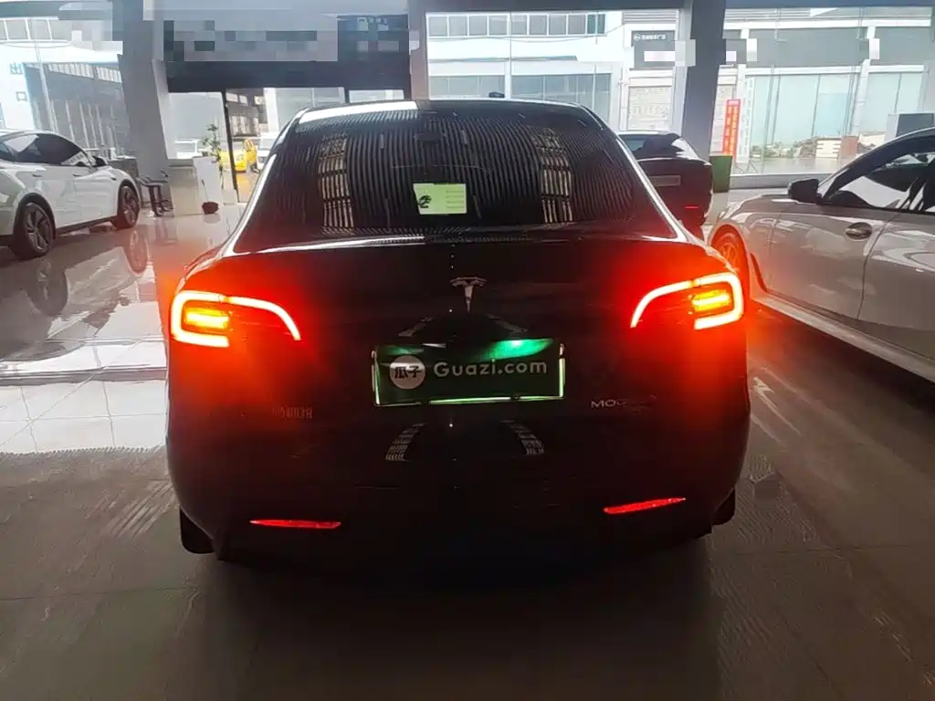 Tesla Model Y — миниатюра 6