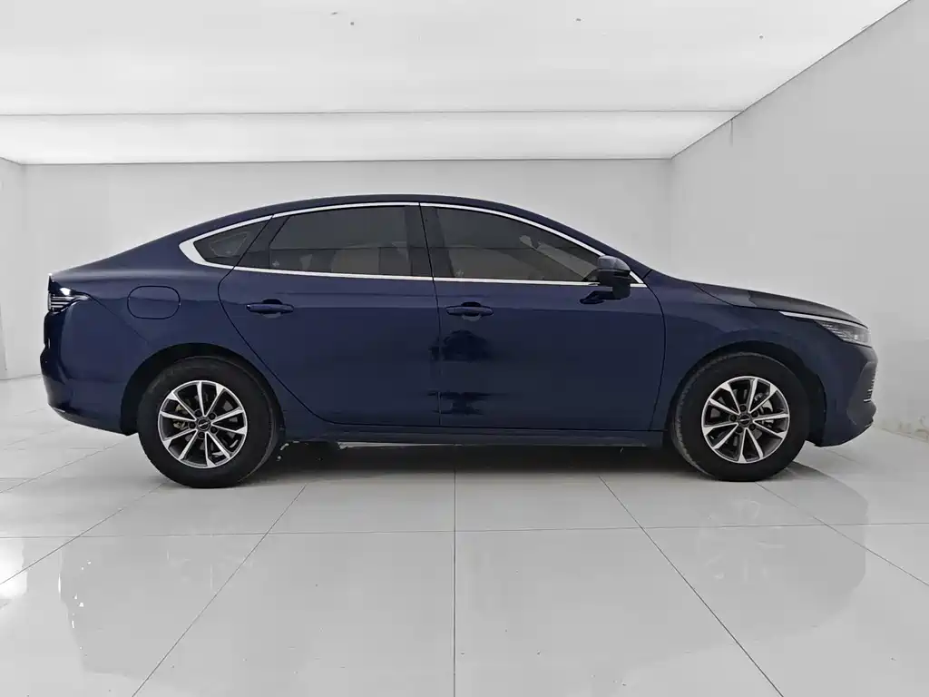 BYD Destroyer 05 2024 DM-i 55KM Luxury