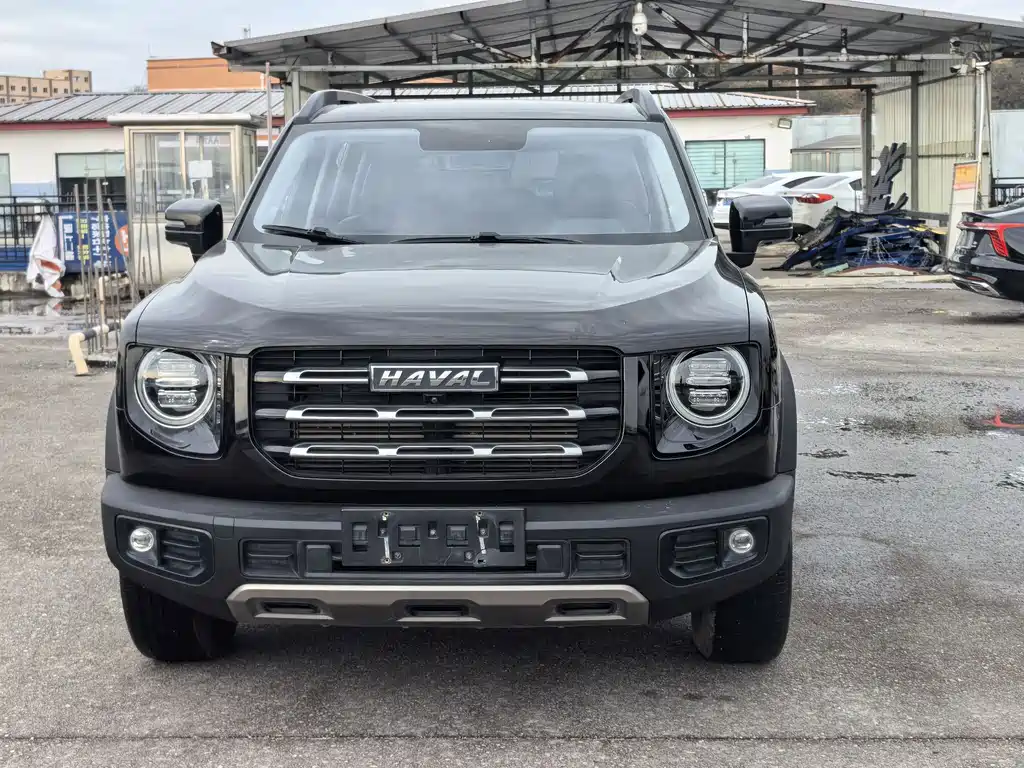 HAVAL BIG DOG