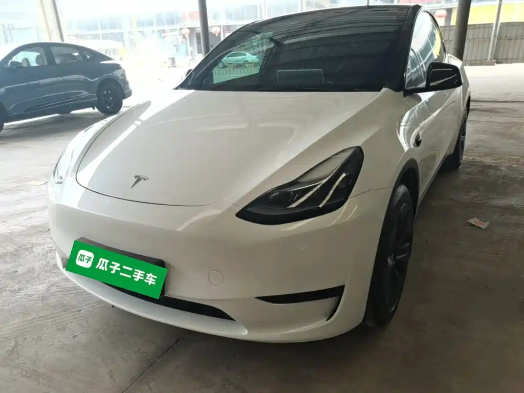 Tesla Model Y — миниатюра 2