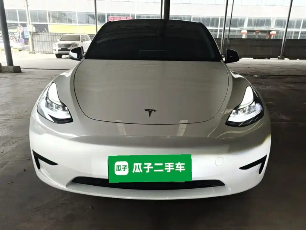 Tesla Model Y — миниатюра 3