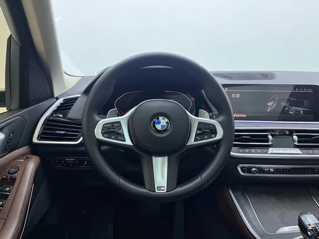 BMW X5 (Import) — миниатюра 9