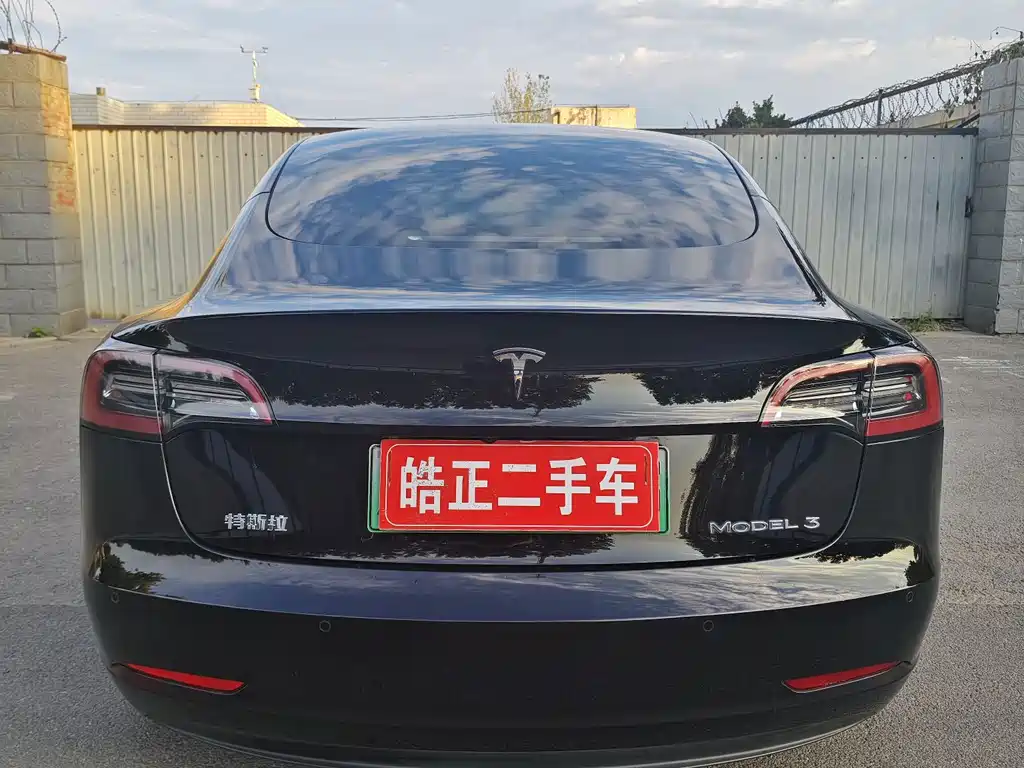 Tesla Model 3 — миниатюра 5
