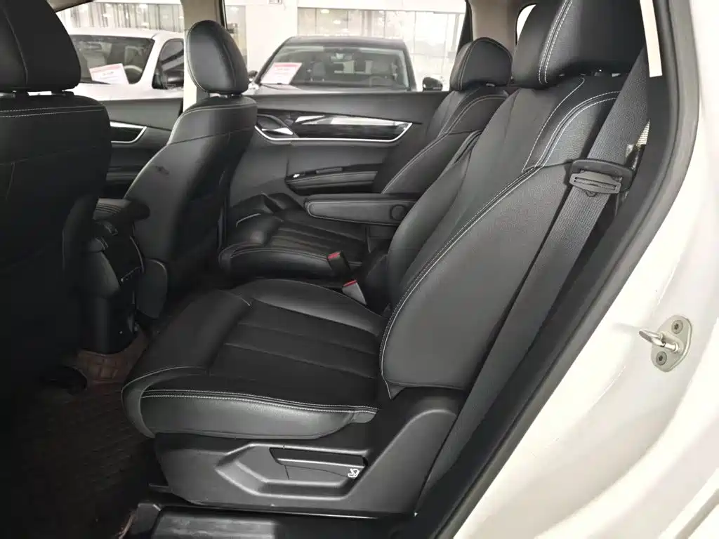 BYD MAX — миниатюра 17