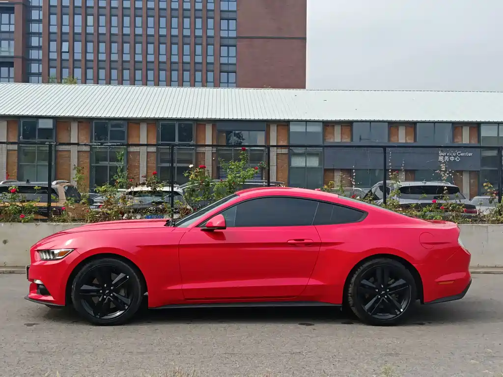 Ford Mustang — миниатюра 6
