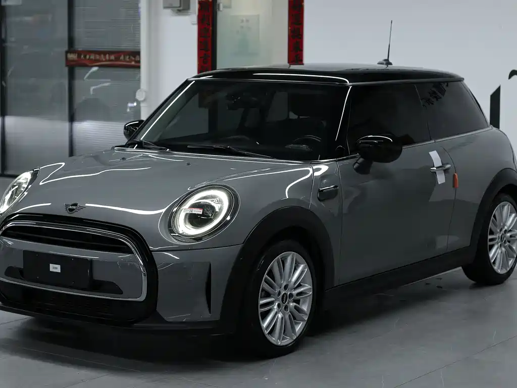 Mini Mini 2022