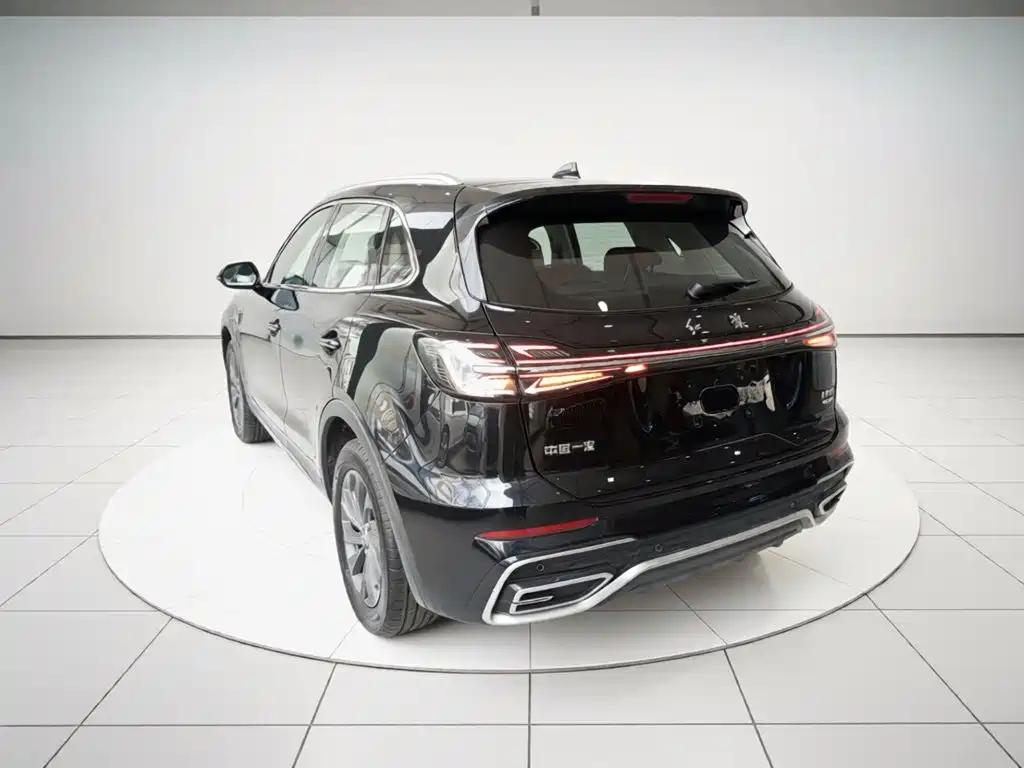 Hongqi Hongqi HS5 — миниатюра 23