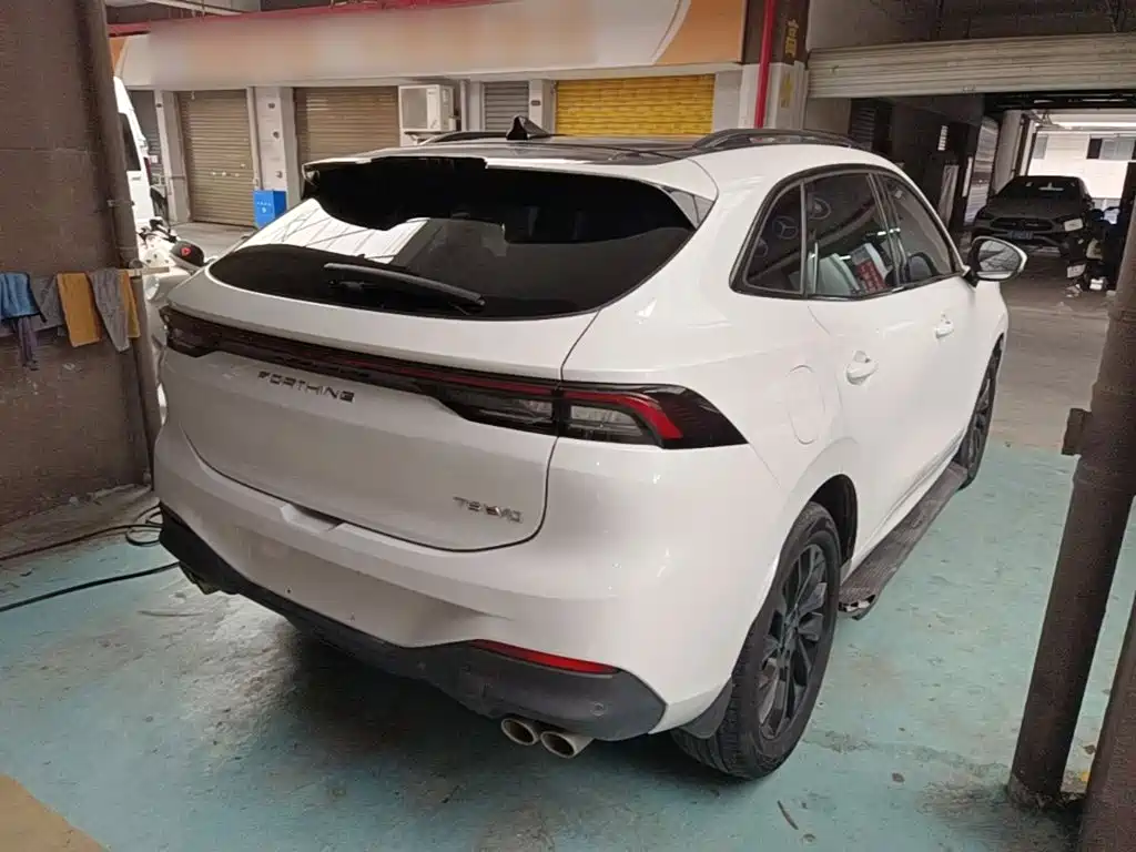 Fengxing Fengxing T5 EVO — миниатюра 7