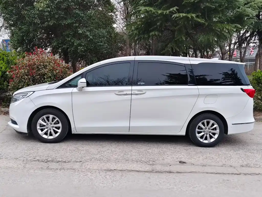 Buick GL8 2018 ES 28T Comfort VI