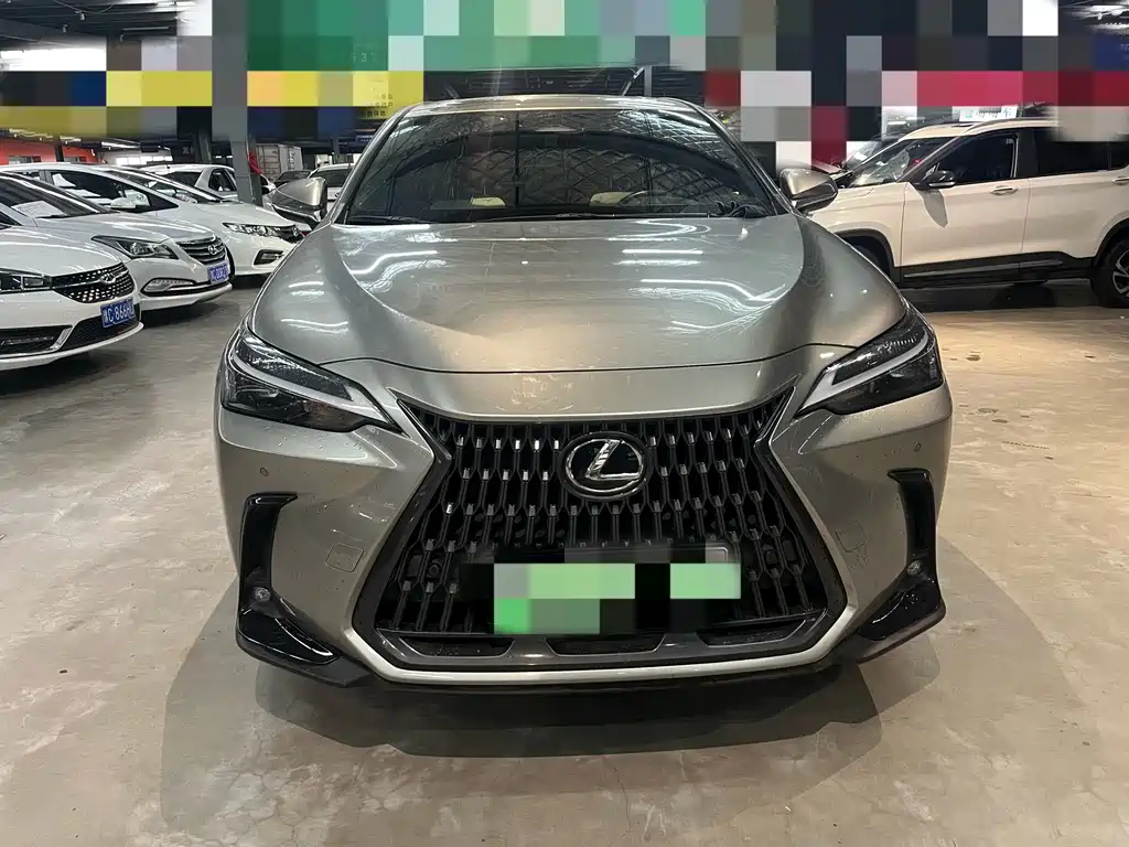 LEXUS  NX NEW ENERGY