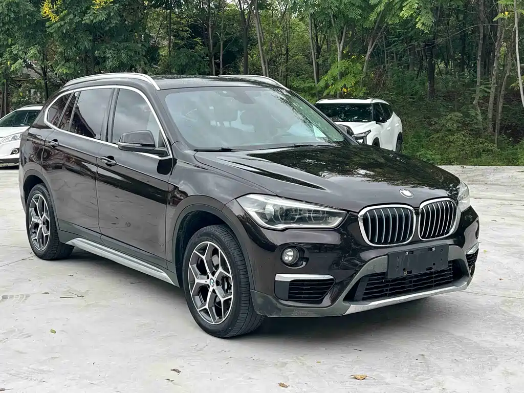 BMW X1 — миниатюра 2