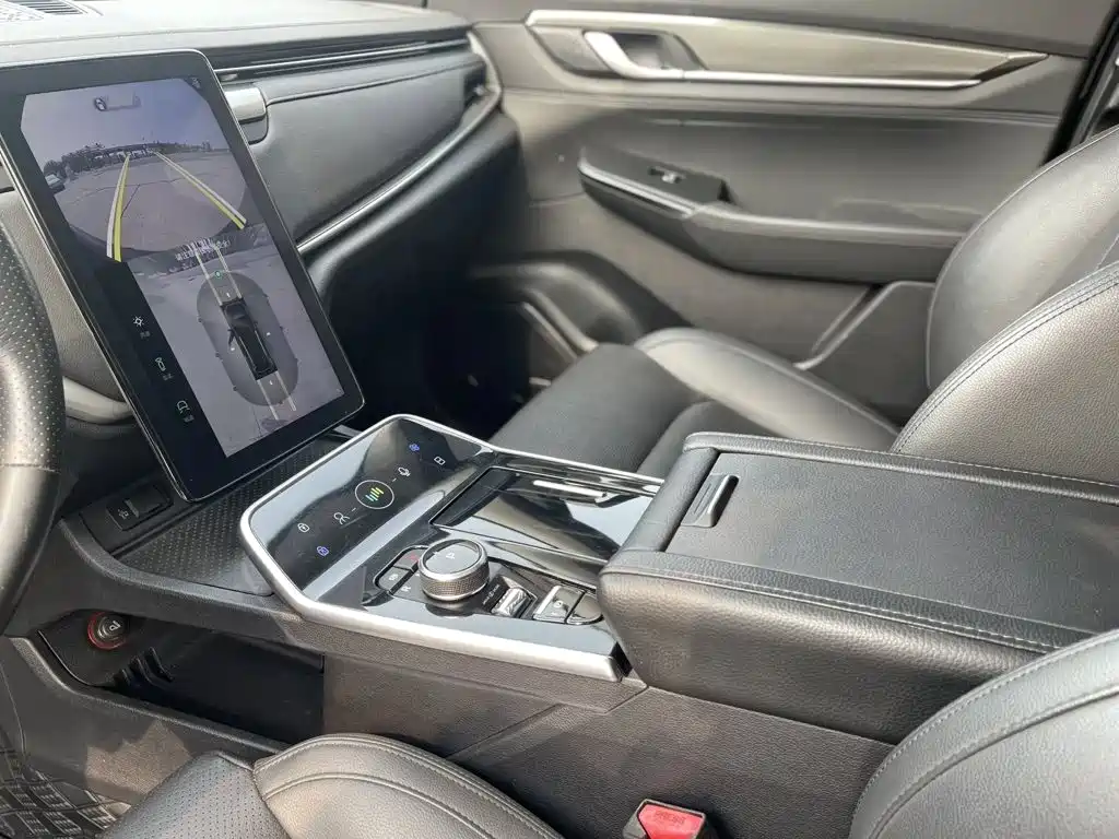 WM Motor EX6 — миниатюра 11