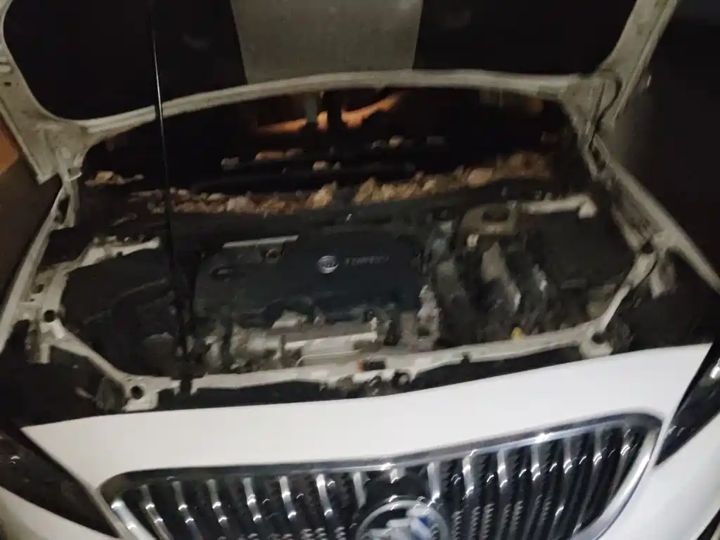 Buick Verano — миниатюра 11