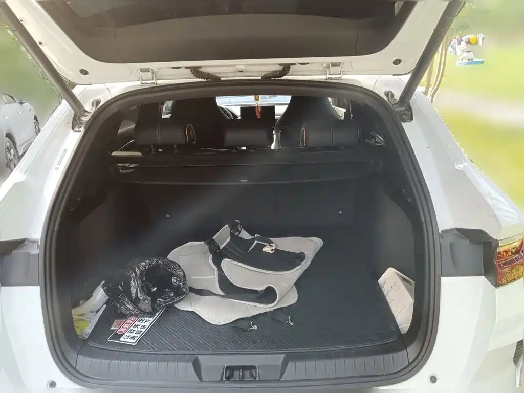 BYD PLUS New Energy — миниатюра 20