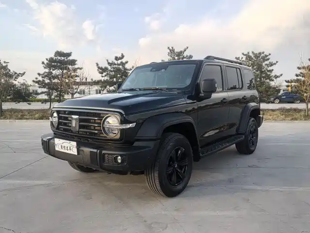 2025 TANK 300