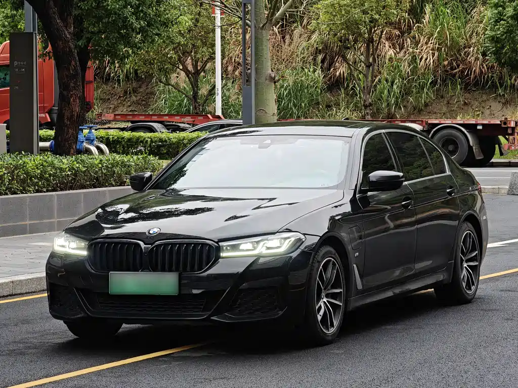 BMW 5 Series New Energy 2021