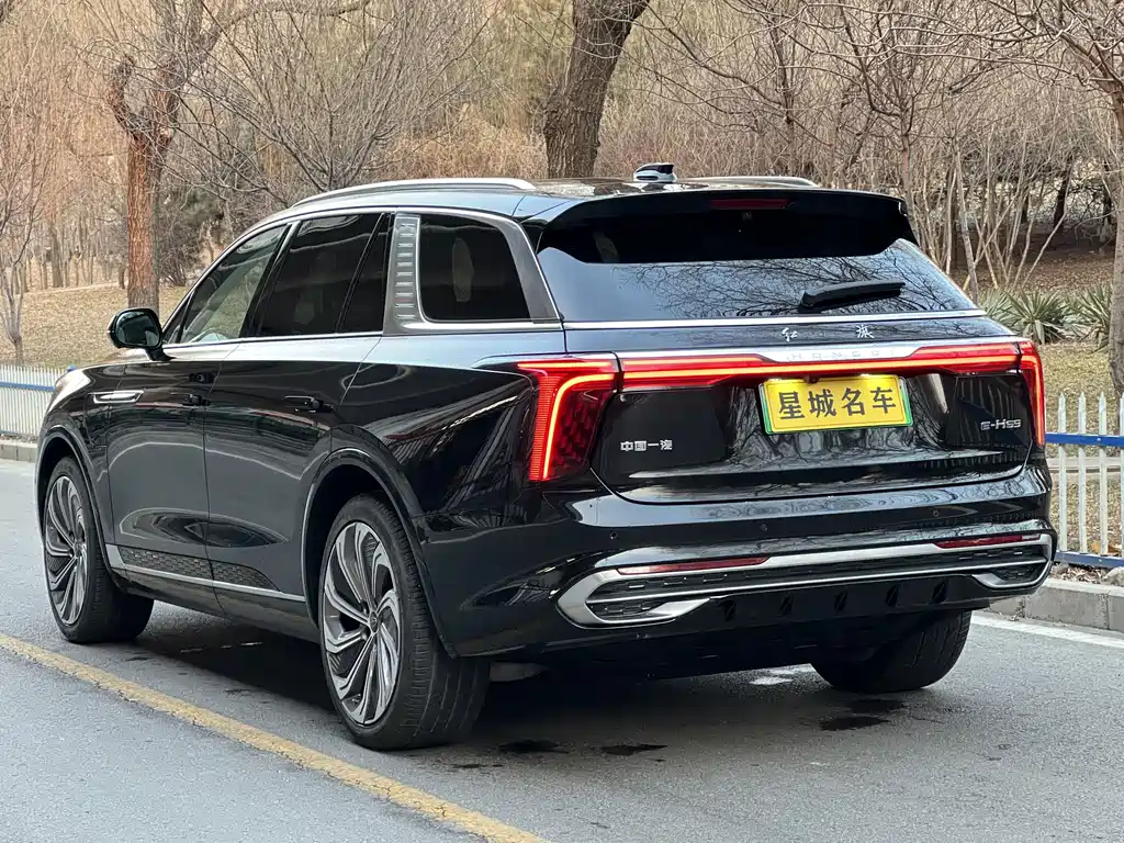 Hongqi Hongqi E-HS9 — миниатюра 4