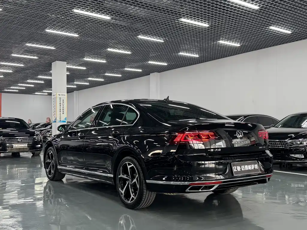 Volkswagen Magotan 2023 200 380TSI DSG Flagship