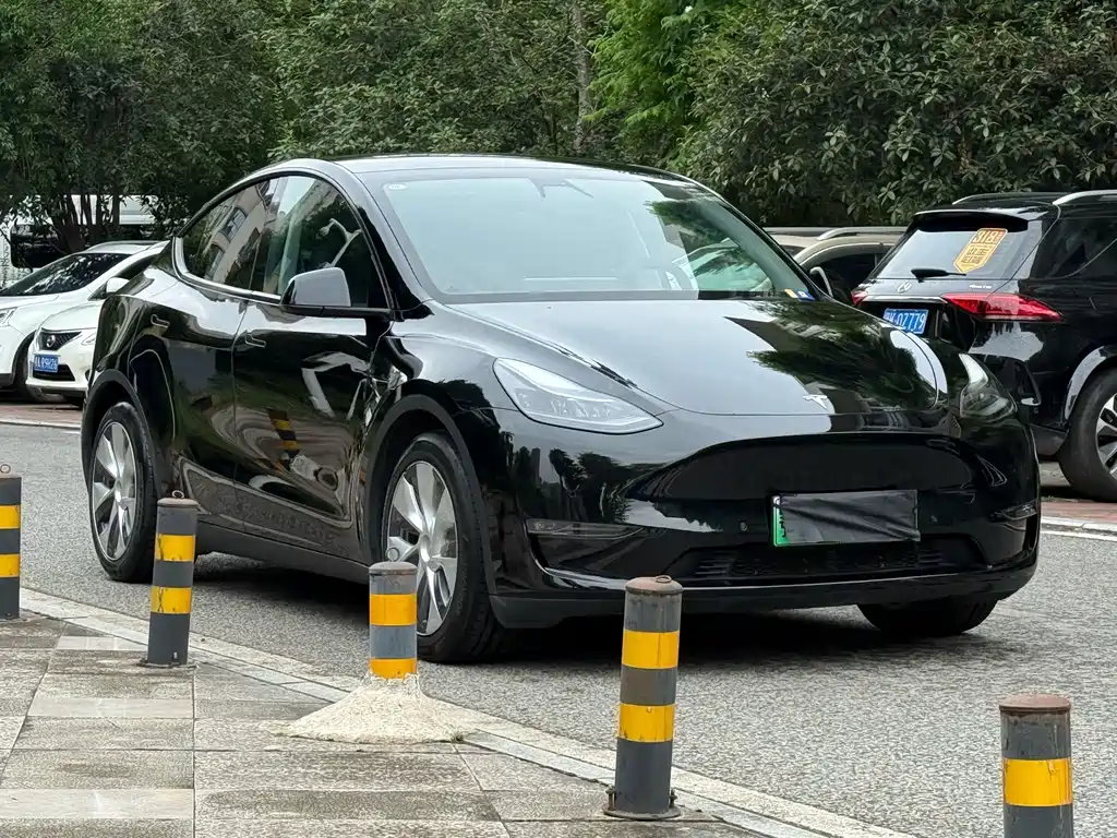 Tesla Model Y — миниатюра 2