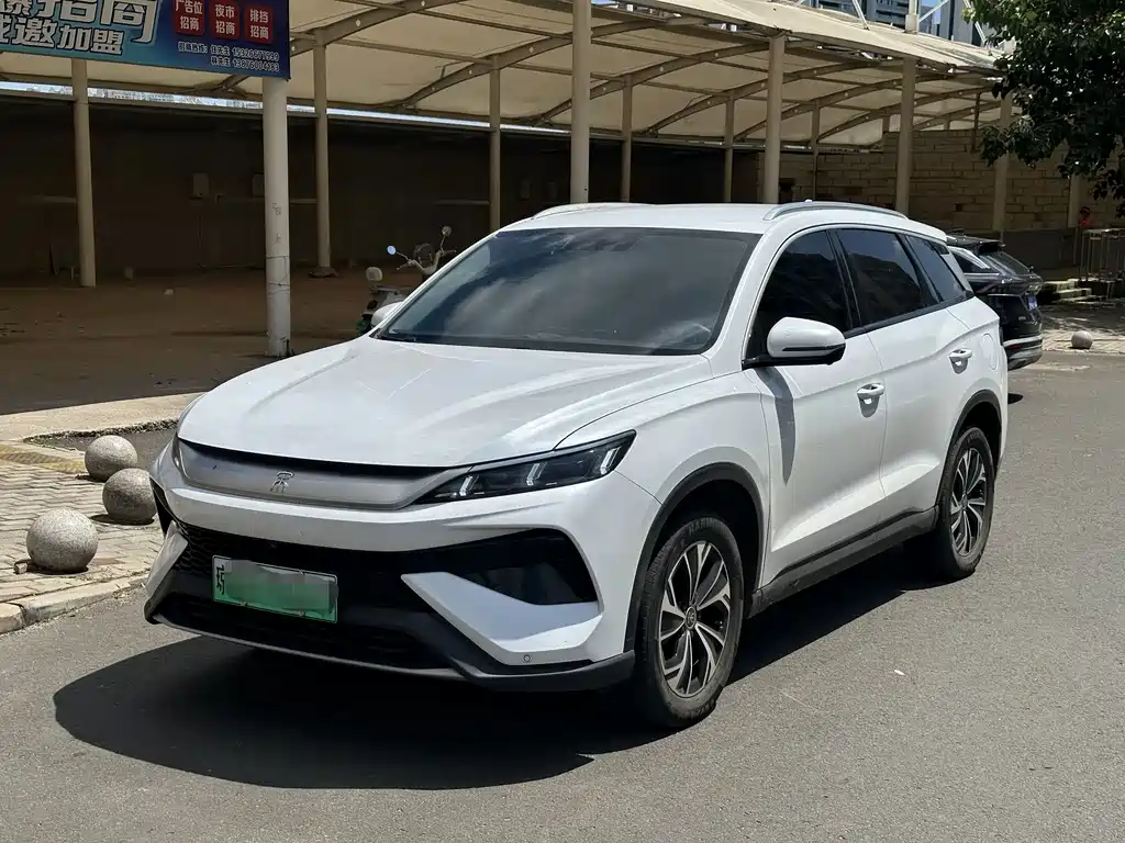 BYD Pro New Energy