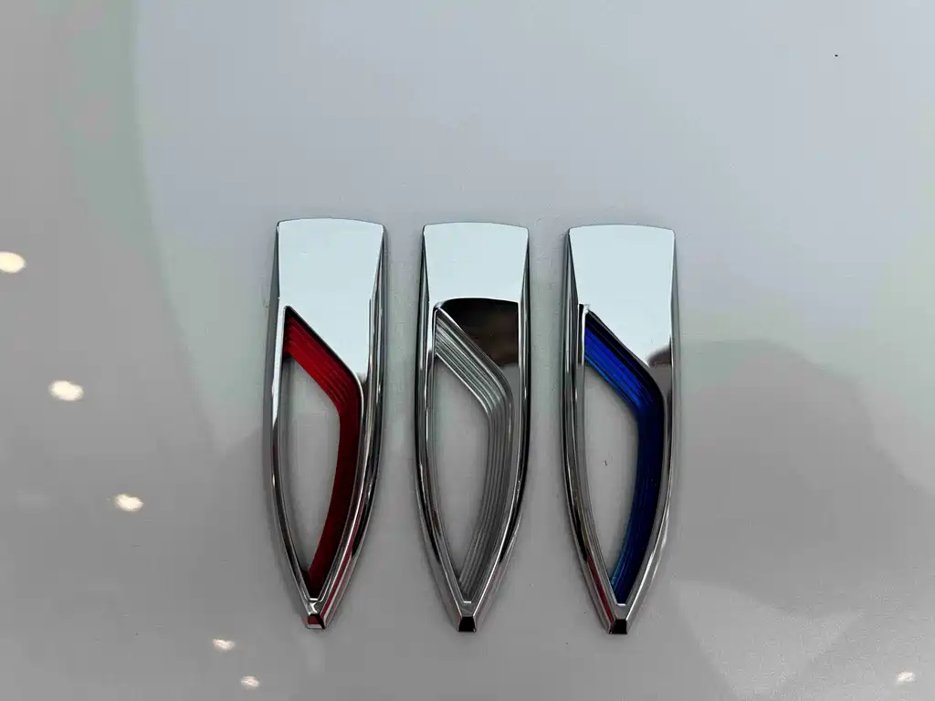 Buick GL8 — миниатюра 5