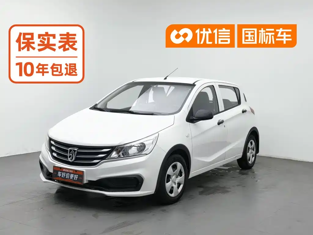 Baojun 310