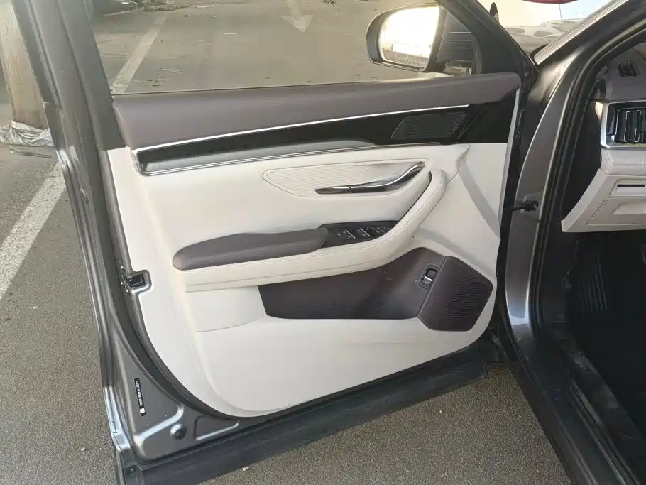 BYD Song Plus PLUS 2025 DM-i 75KM Luxury